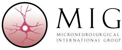 Microneurosurgery Rome